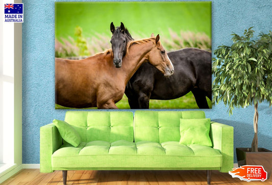 Horse Couple Portrait Photograph Print 100% Australian Made