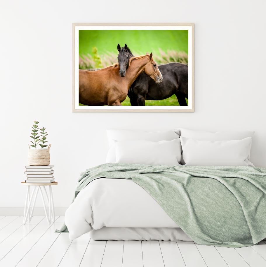 Horse Love Photograph Home Decor Premium Quality Poster Print Choose Your Sizes
