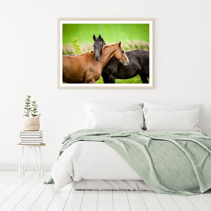 Horse Love Photograph Home Decor Premium Quality Poster Print Choose Your Sizes