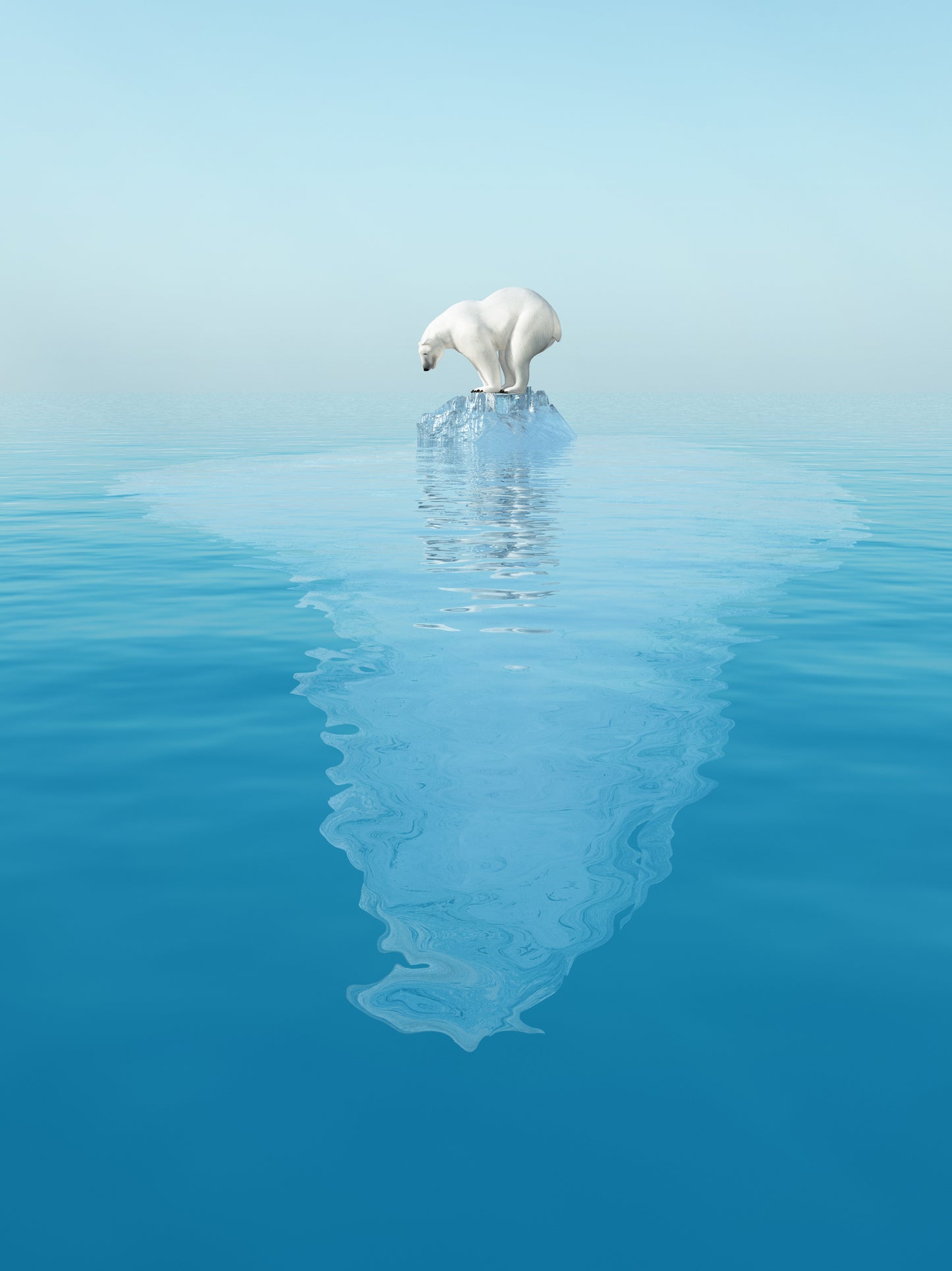 Polar Bear on Glacier Photograph Home Decor Premium Quality Poster Print Choose Your Sizes
