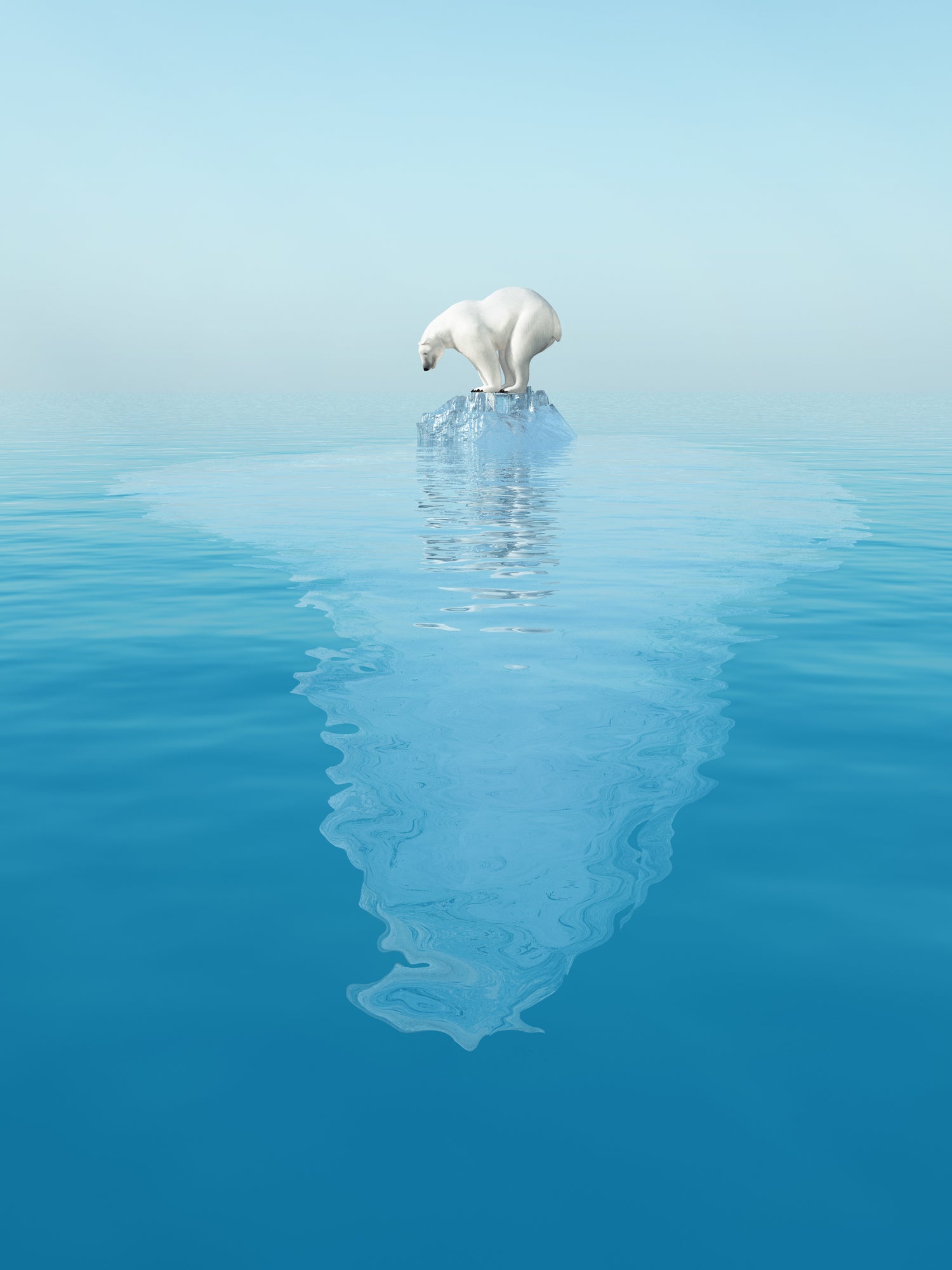 Polar Bear on Glacier Photograph Home Decor Premium Quality Poster Print Choose Your Sizes