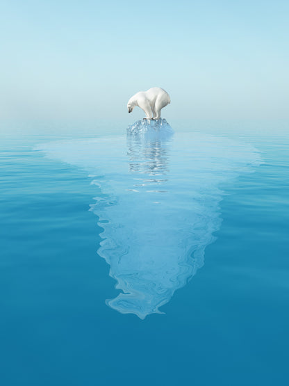 Polar Bear on Glacier Photograph Home Decor Premium Quality Poster Print Choose Your Sizes