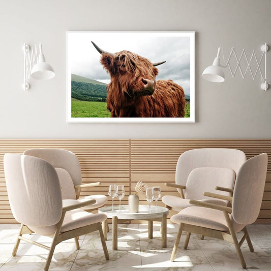 Highland Cow on Meadow Photograph Home Decor Premium Quality Poster Print Choose Your Sizes