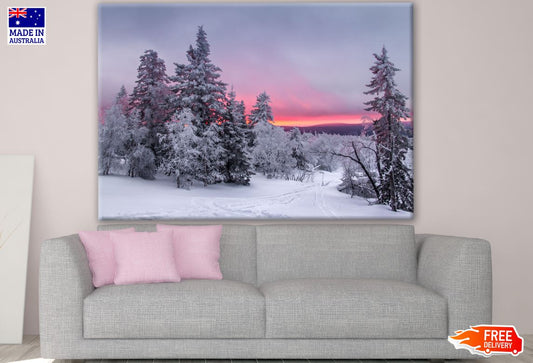 Snow Covered Forest Photograph Print 100% Australian Made
