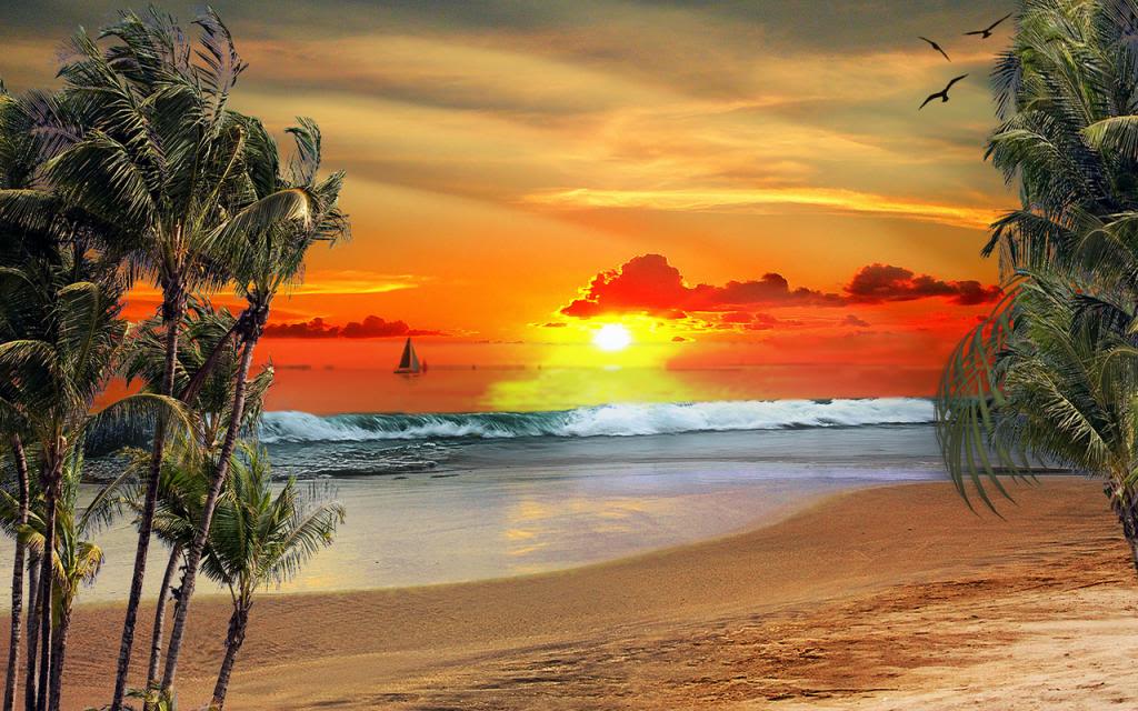 Stunning Beach View Sunset Photograph Print 100% Australian Made