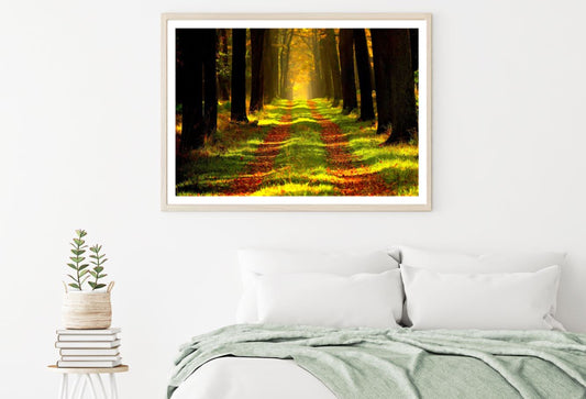 Road in Forest Photograph Home Decor Premium Quality Poster Print Choose Your Sizes