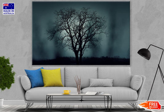 Tree Night View Photograph Print 100% Australian Made