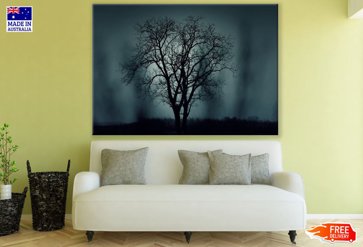 Tree & Dark Nature Photograph Print 100% Australian Made