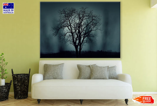 Tree & Dark Nature Photograph Print 100% Australian Made