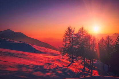 Trees on Hill Sunset Scenery Photograph Home Decor Premium Quality Poster Print Choose Your Sizes