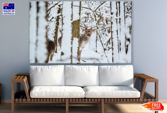 Deer in Snow Covered Forest Print 100% Australian Made