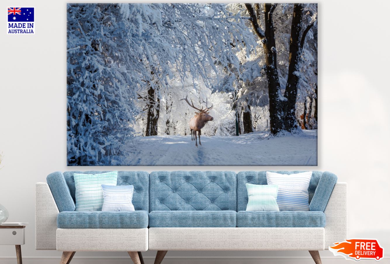 Deer in Snow Covered Forest Print 100% Australian Made