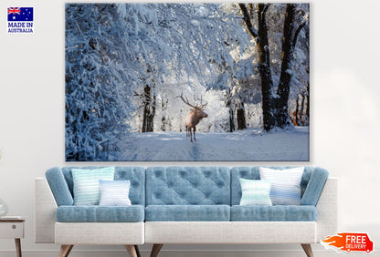 Deer in Snow Covered Forest Print 100% Australian Made