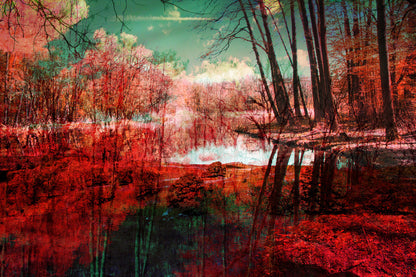 Forest Near Lake Photograph Home Decor Premium Quality Poster Print Choose Your Sizes
