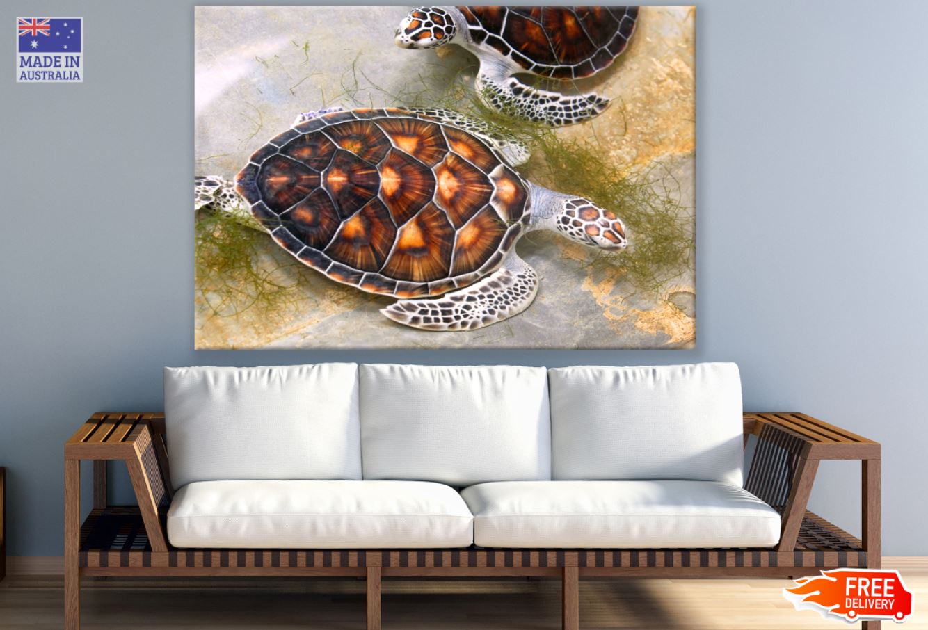 Turtles on Ground Photograph Print 100% Australian Made