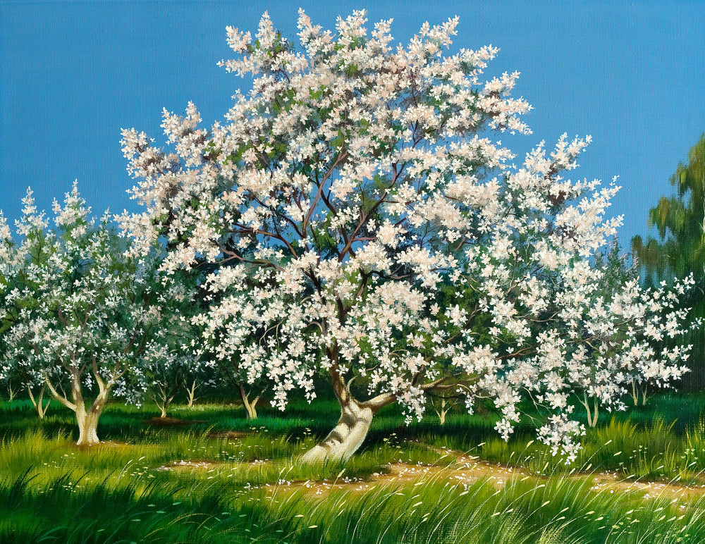 Flower Tree Oil Painting Print 100% Australian Made