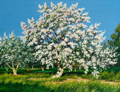 Flower Tree Oil Painting Print 100% Australian Made