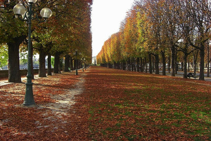 Kema Sakuranomiya Park During Autumn Photograph Print 100% Australian Made