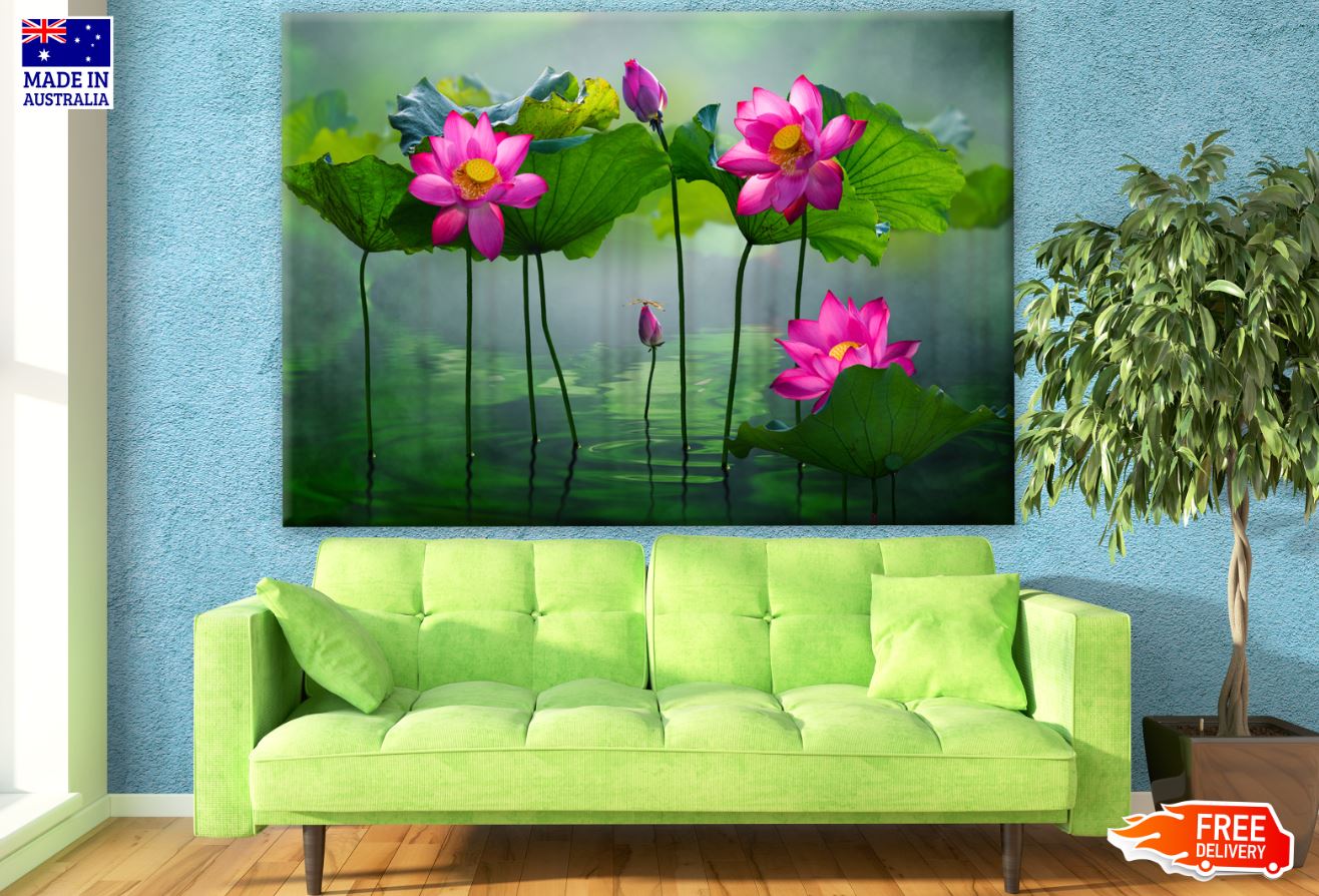 Lotus Flowers on Lake Photograph Print 100% Australian Made