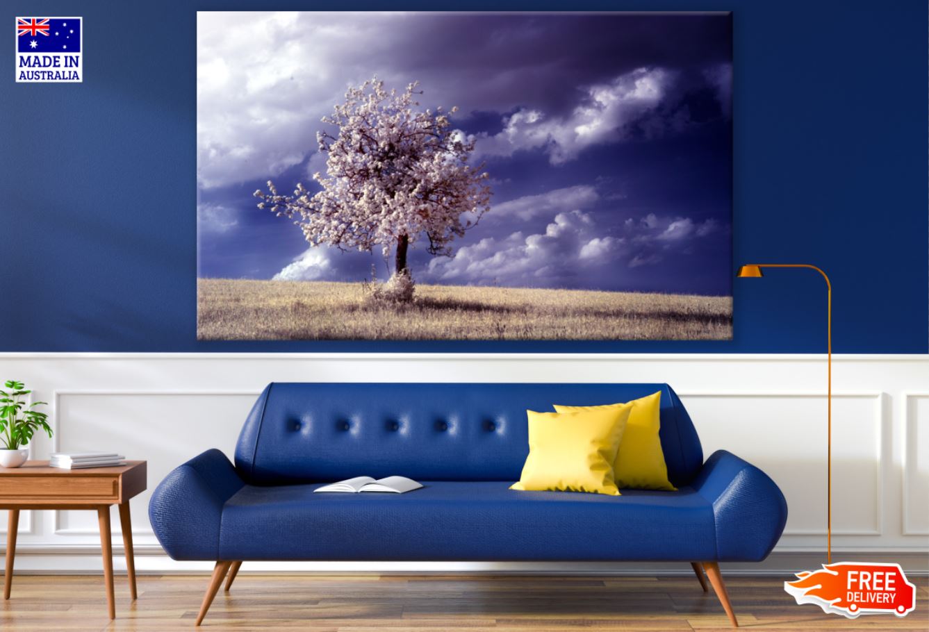 Tree in a Meadow Photograph Print 100% Australian Made