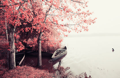 Boat on a Lake Near Pink Tree Forest Photograph Print 100% Australian Made
