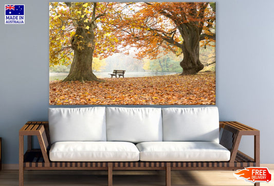 Bench Under Two Huge Autumn Trees Photograph Print 100% Australian Made