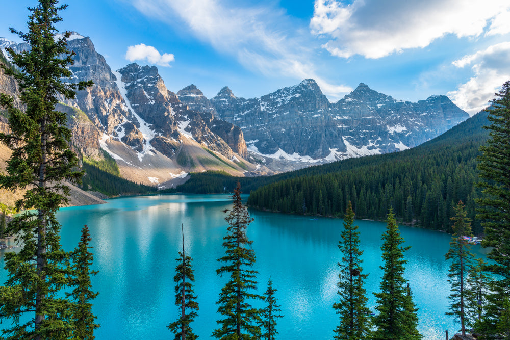 Mountain Lake & Forest View Photograph Print 100% Australian Made