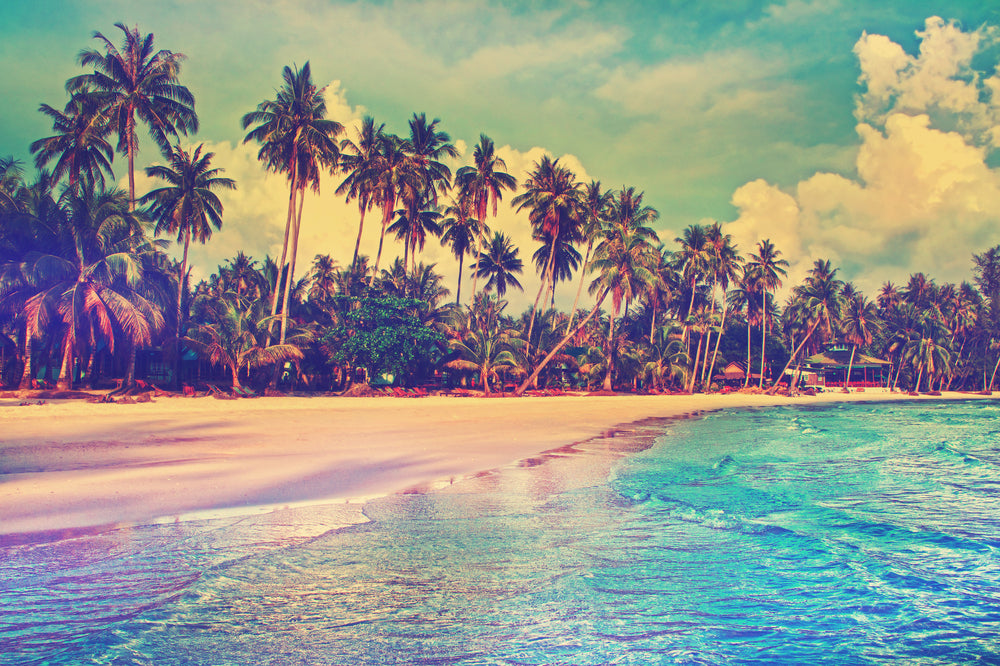 Sea & Palm Trees Photograph Home Decor Premium Quality Poster Print Choose Your Sizes