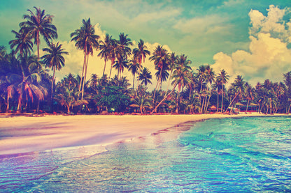 Sea & Palm Trees Photograph Home Decor Premium Quality Poster Print Choose Your Sizes