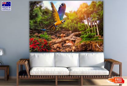 Bird & Nature Scenery Photograph Print 100% Australian Made