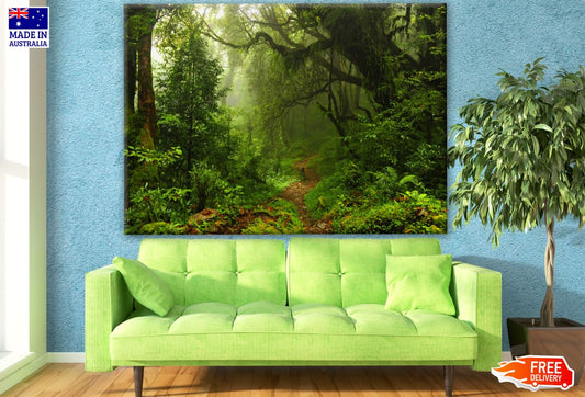 Deep Forest Photograph Print 100% Australian Made