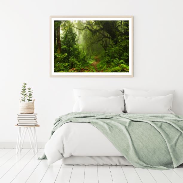 Stunning Deep Forest Photograph Home Decor Premium Quality Poster Print Choose Your Sizes