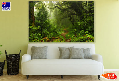 Deep Forest View Photograph Print 100% Australian Made