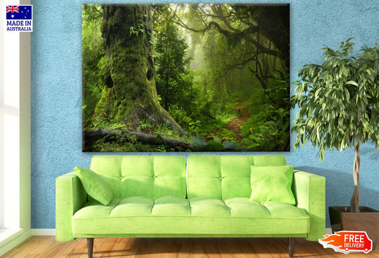Deep Forest Photograph Print 100% Australian Made