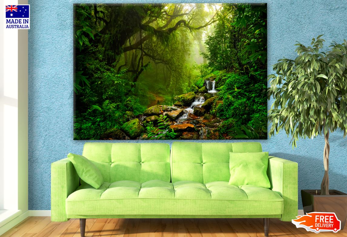 Deep Forest Photograph Print 100% Australian Made
