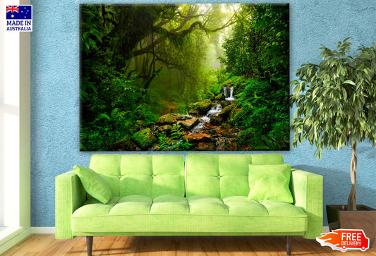 Deep Forest Photograph Print 100% Australian Made