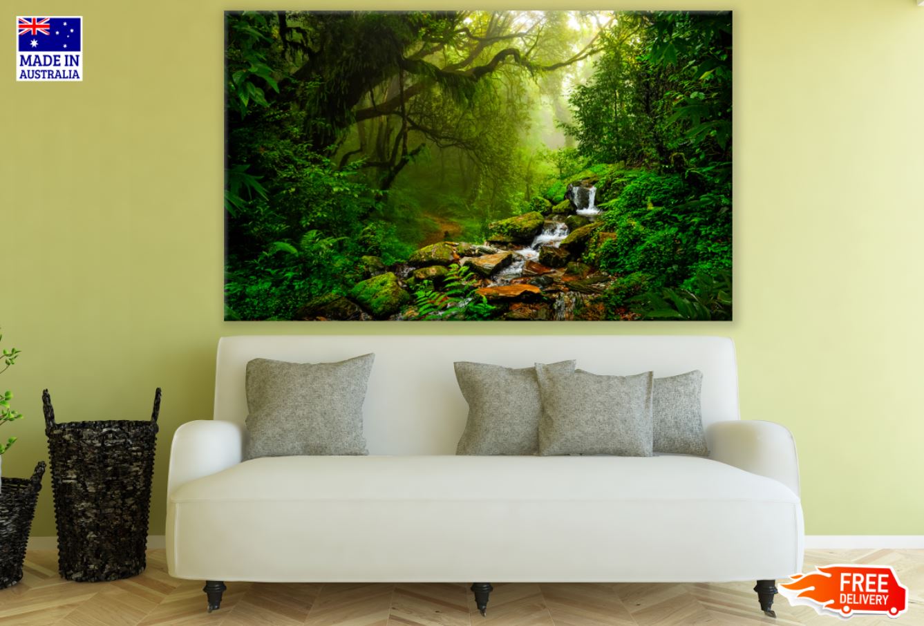 Deep Forest View Photograph Print 100% Australian Made