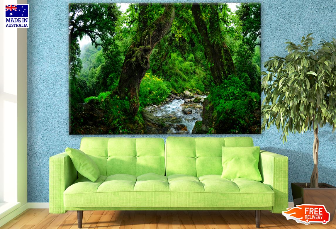 Deep Forest Photograph Print 100% Australian Made