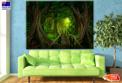 Deep Forest Photograph Print 100% Australian Made