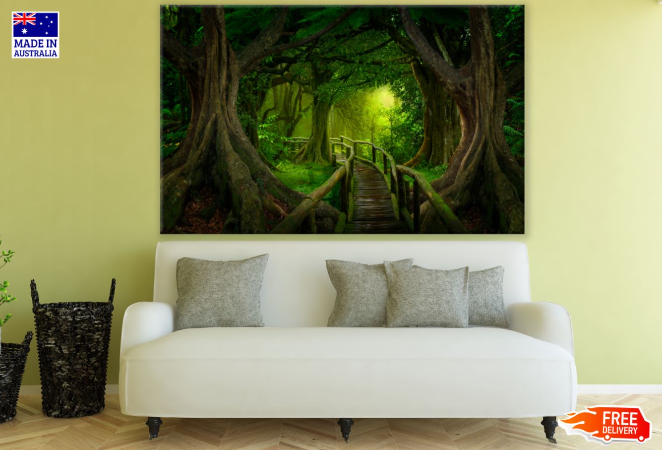 Deep Forest View Photograph Print 100% Australian Made