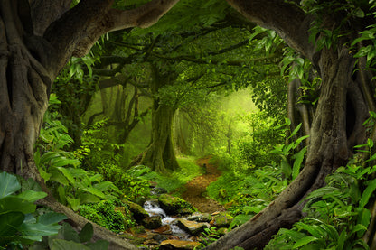 Deep Forest Photograph Print 100% Australian Made