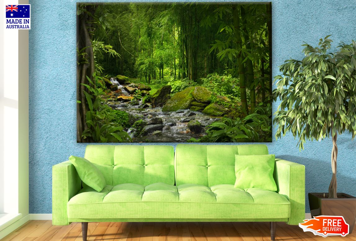 Deep Forest Photograph Print 100% Australian Made