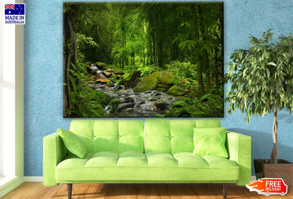 Deep Forest Photograph Print 100% Australian Made