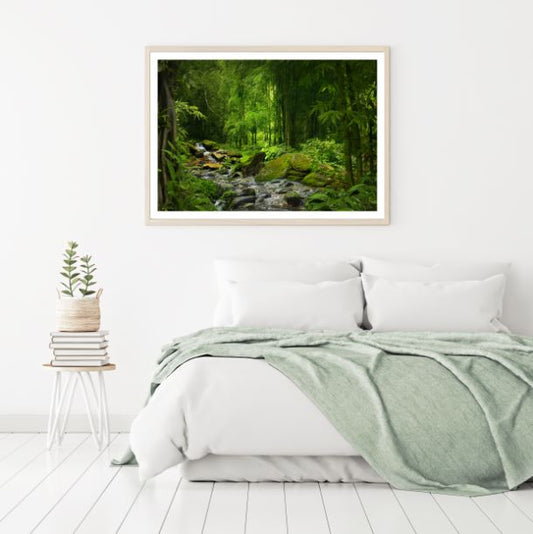 Stunning Deep Forest Photograph Home Decor Premium Quality Poster Print Choose Your Sizes