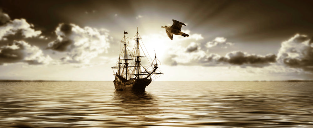 Panoramic Canvas Ship on Sea Old Photograph High Quality 100% Australian made wall Canvas Print ready to hang
