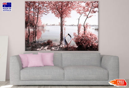 Lake Near Forest Scenery Photograph Print 100% Australian Made