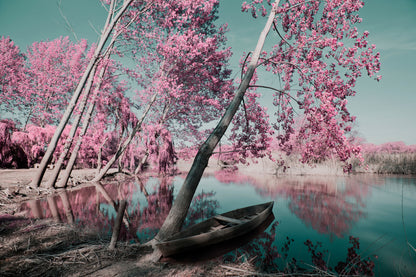 Rose Leafy Tree Forest & Boat on Lake Photograph Print 100% Australian Made