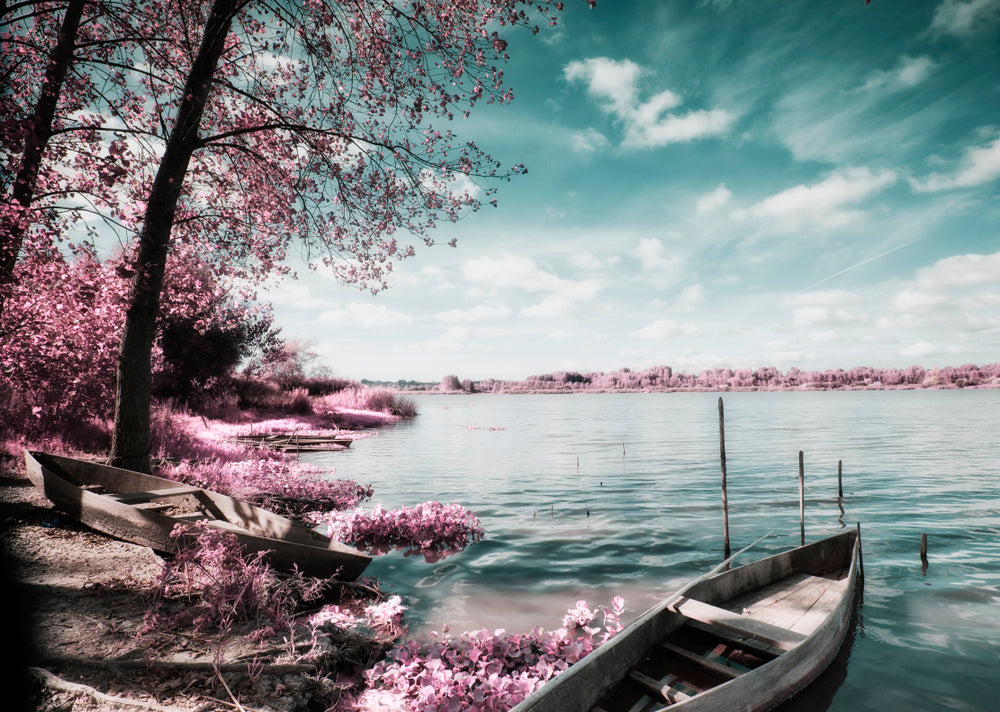 Rose Leafy Tree Forest & Boat on Lake Photograph Print 100% Australian Made
