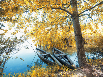 Yellow Leafy Tree Forest & Boat on Lake Photograph Print 100% Australian Made