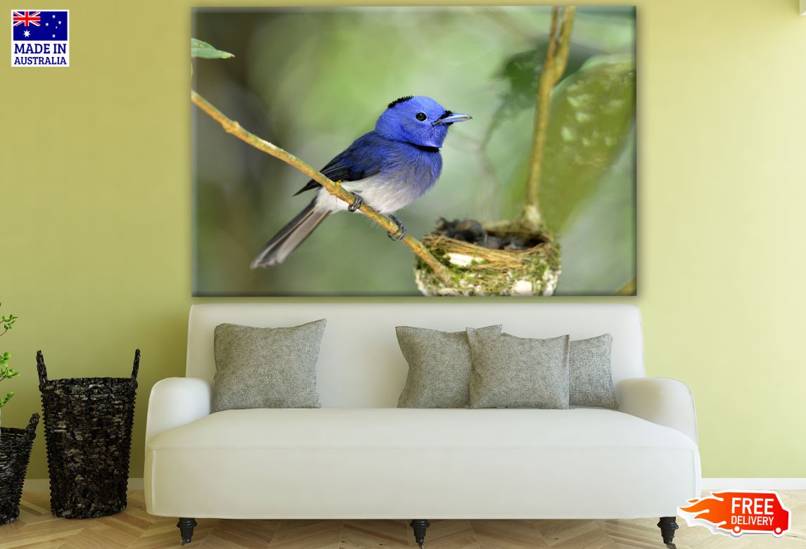 Blue Bird on a Tree Closeup Photograph Print 100% Australian Made
